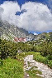 Tatry Słowackie Albin Marciniak