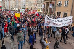 Antycovidowe "Marsze o Wolność"