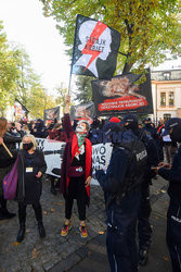 Aborcja przed Trybunałem Konstytucyjnym