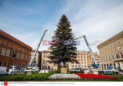 Choinka na Piazza Venezia w Rzymie