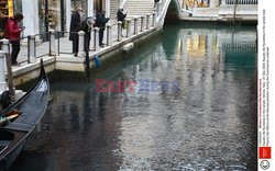 Ławice ryb w kanałach Wenecji