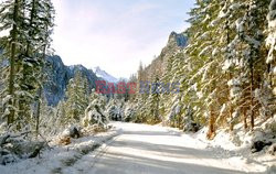 Polskie Tatry Albin Marciniak