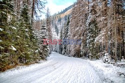 Polskie Tatry Albin Marciniak