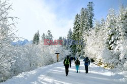 Polskie Tatry Albin Marciniak