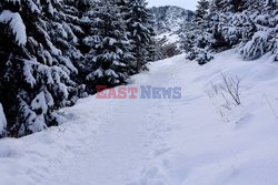 Polskie Tatry Albin Marciniak