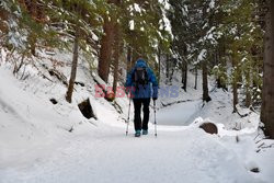 Polskie Tatry Albin Marciniak