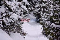 Polskie Tatry Albin Marciniak