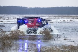 Ratowanie krów na Biebrzy