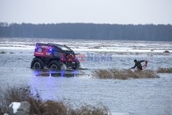 Ratowanie krów na Biebrzy