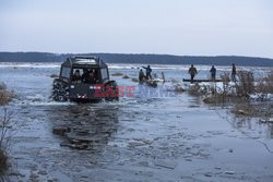 Ratowanie krów na Biebrzy