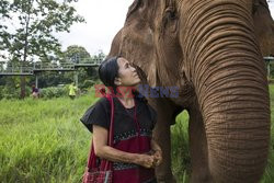 Park dla uratowanych słoni - Redux