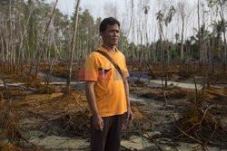 Walka z zanieczyszczeniami środowiska naturalnego w Tajlandii - Redux