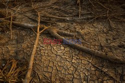 Walka z zanieczyszczeniami środowiska naturalnego w Tajlandii - Redux