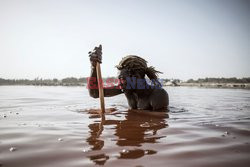 Wydobywanie soli w Senegalu - AFP