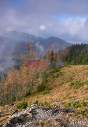 Polskie Tatry Albin Marciniak