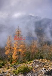 Polskie Tatry Albin Marciniak