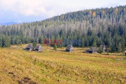 Polskie Tatry Albin Marciniak