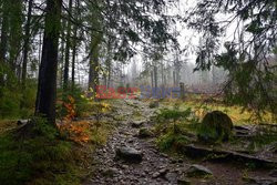 Polskie Tatry Albin Marciniak