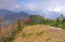 Polskie Tatry Albin Marciniak