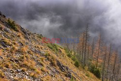 Polskie Tatry Albin Marciniak