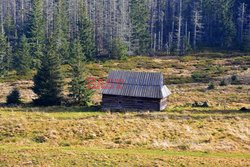 Polskie Tatry Albin Marciniak