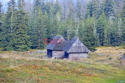 Polskie Tatry Albin Marciniak