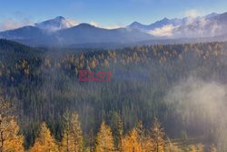 Polskie Tatry Albin Marciniak