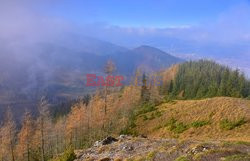 Polskie Tatry Albin Marciniak