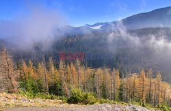 Polskie Tatry Albin Marciniak