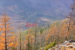 Polskie Tatry Albin Marciniak