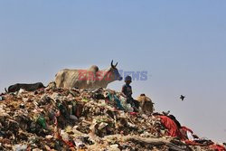 Na wysypisku śmieci w Jaipur