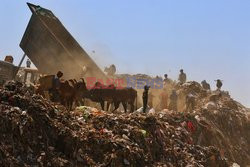 Na wysypisku śmieci w Jaipur