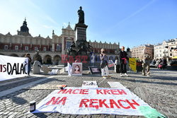 Antypisowski protest w Krakowie