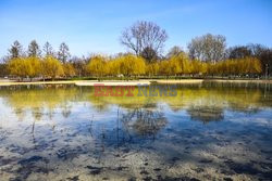 Park Lotników Polskich w Krakowie po rewitalizacji