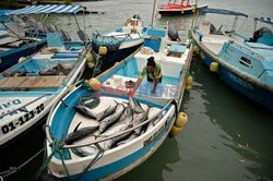 Praca kobiet na Galapagos