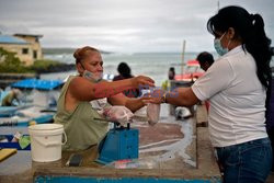 Praca kobiet na Galapagos