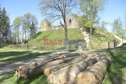 Wycięte drzew na wzgórzu wokół ruin zamku w Lanckoronie