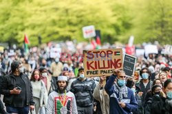 Manifestacje poparcia dla Palestyny