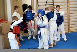 Turniej Karate Kyokushin młodzików kadetów i dzieci Pierwszy start w Jaśle