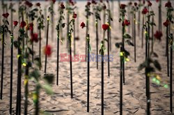 Róże na plaży ku pamięci 500 tys ofiar coid-19 w Brazylii