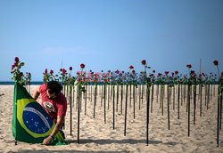 Róże na plaży ku pamięci 500 tys ofiar coid-19 w Brazylii