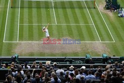 Finał Wimbledonu: Barty - Pliskova