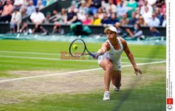 Finał Wimbledonu: Barty - Pliskova