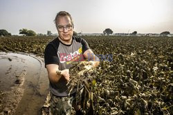 Powódź w Niemczech i Belgii