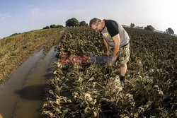 Powódź w Niemczech i Belgii