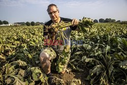 Powódź w Niemczech i Belgii