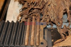 Fabryka cygar LaFlor Dominicana w La Romana na Dominikanie