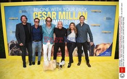 Premiera filmu Cesar Millan - Better Human, Better Dog