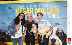 Premiera filmu Cesar Millan - Better Human, Better Dog