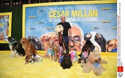 Premiera filmu Cesar Millan - Better Human, Better Dog